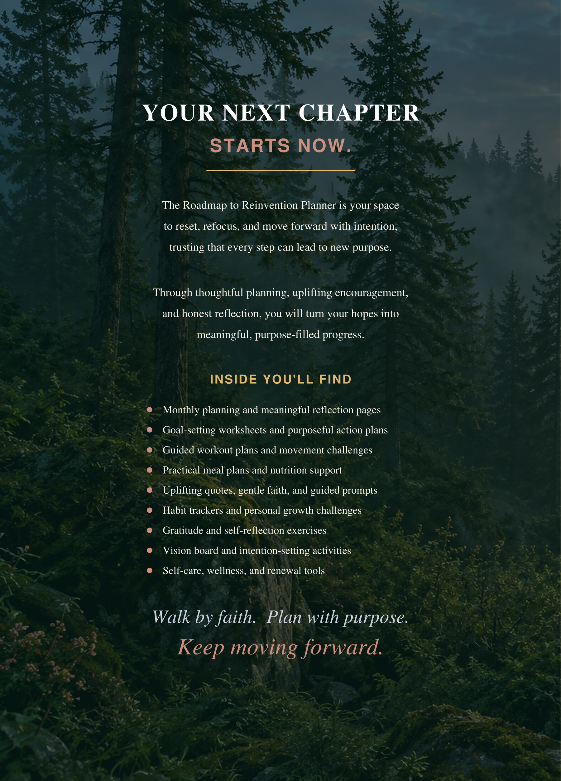 Back cover of The Roadmap to Reinvention 2027 Planner
